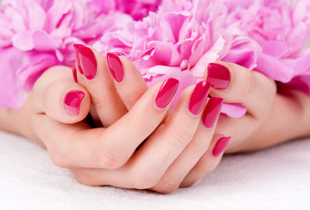 Woman cupped hands with manicure holding a pink flower